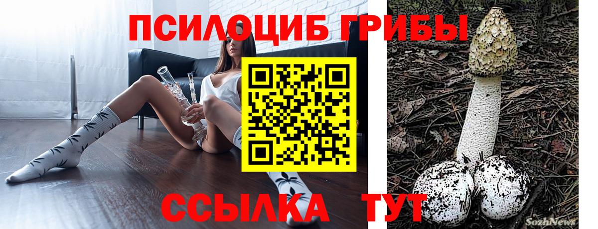 Псилоцибиновые грибы мицелий  Галлюциногенные грибы прущие грибы  Йошкар-Ола  продажа наркотиков  Вход с VPN 