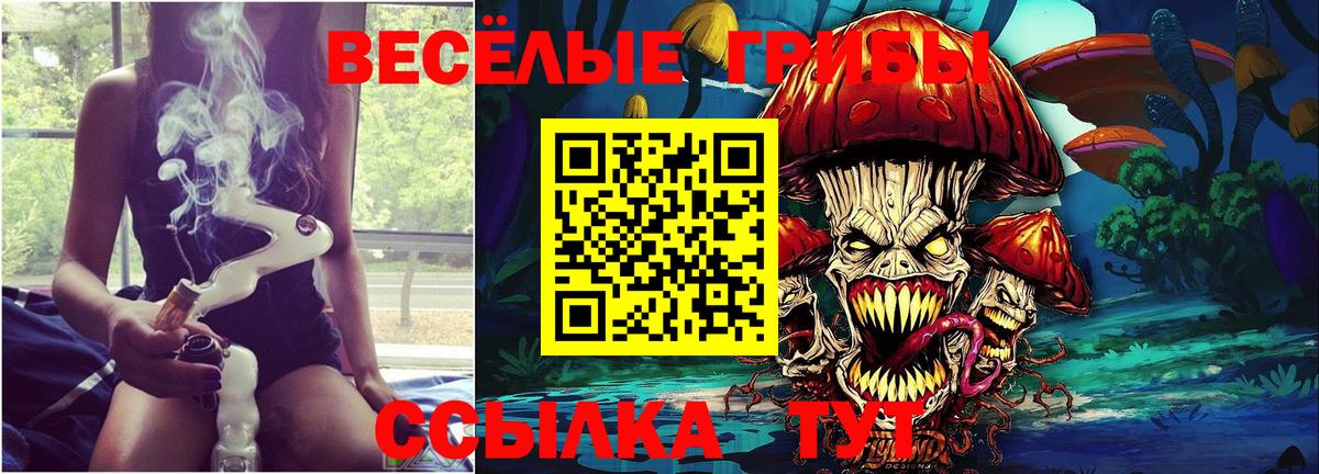 Псилоцибиновые грибы мицелий Йошкар-Ола